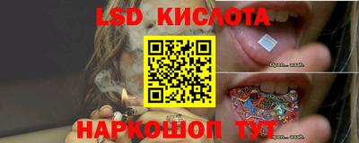 прущие грибы Беслан