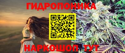 соль ск Бийск