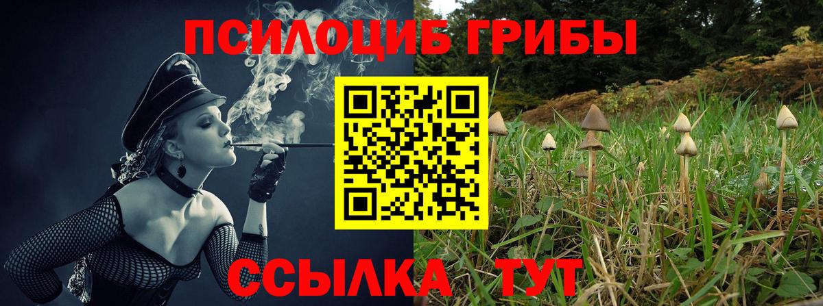 Галлюциногенные грибы GOLDEN TEACHER Киселёвск